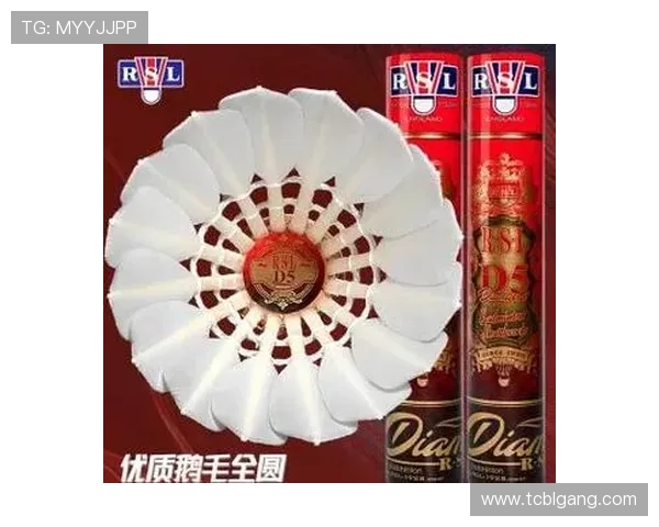 广州羽毛球队防反体系解析：羽毛球战术的创新与应用